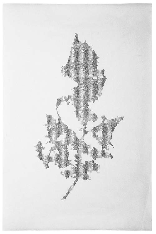 Sans titre (feuille rongée), 2015 texte mécanographié sur papier, 45,5x28,5cm